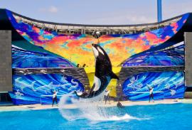 SeaWorld